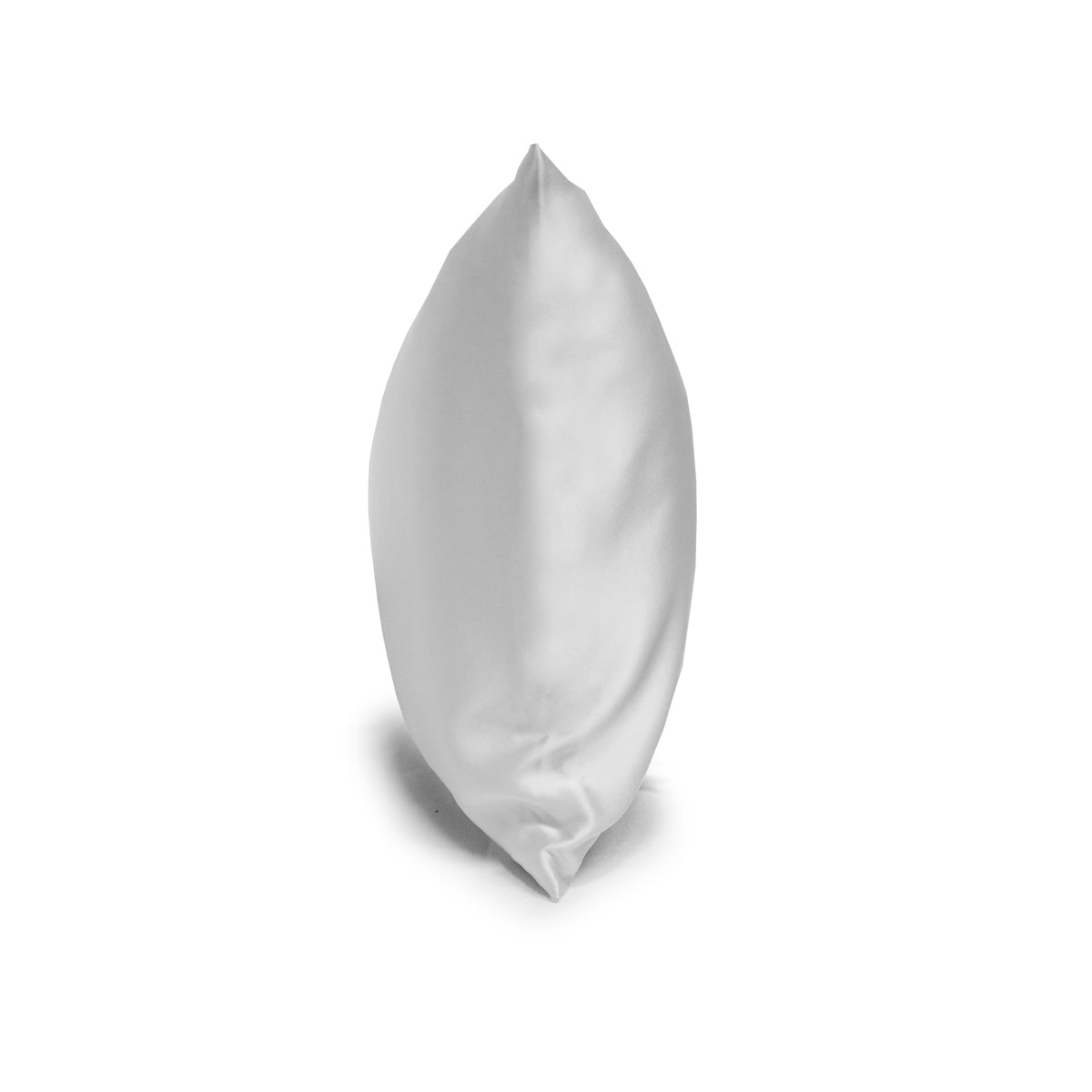 Silk Pillow Slips (Set of 2)