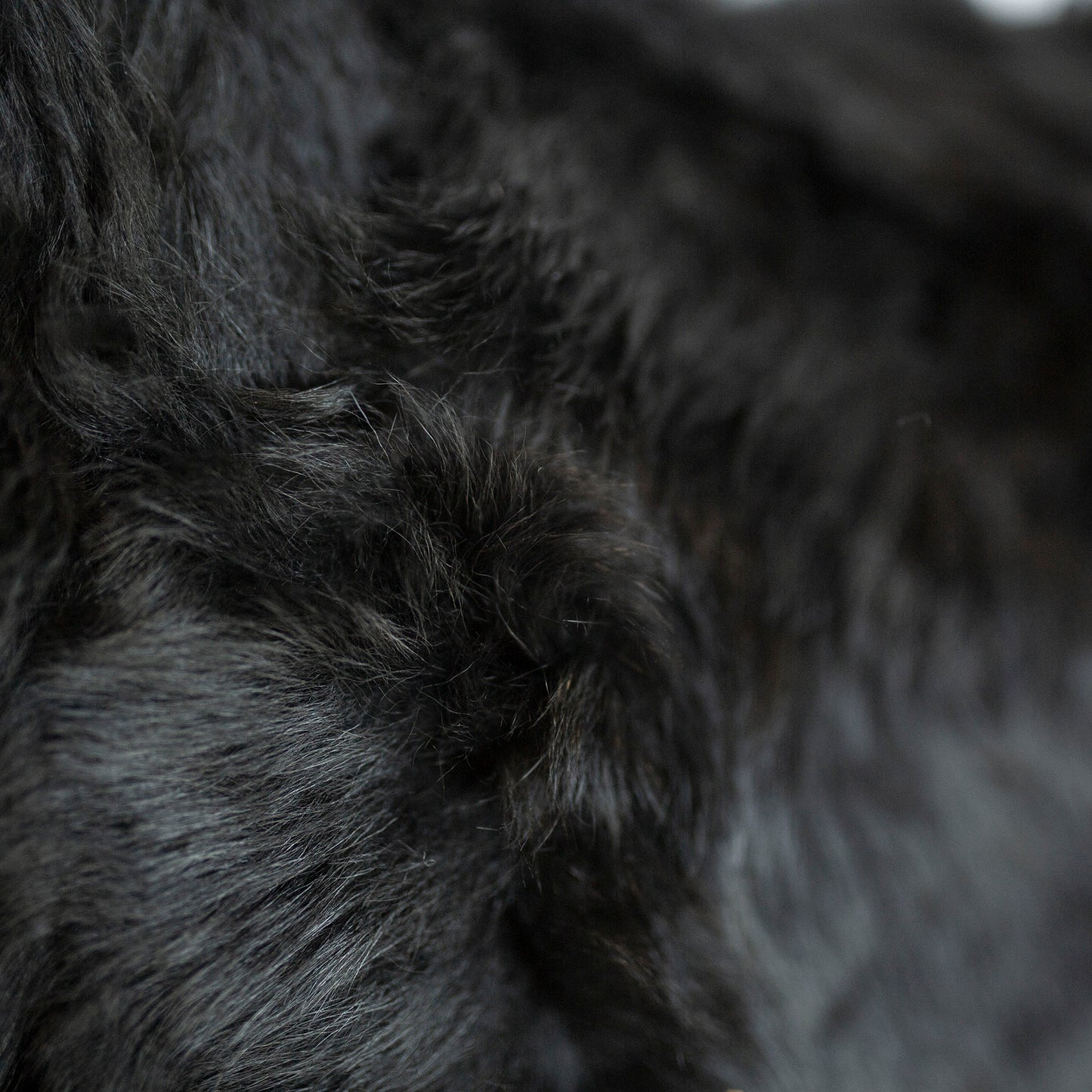 Toscana Fur Blanket - Cashmere Blend Lining - Black