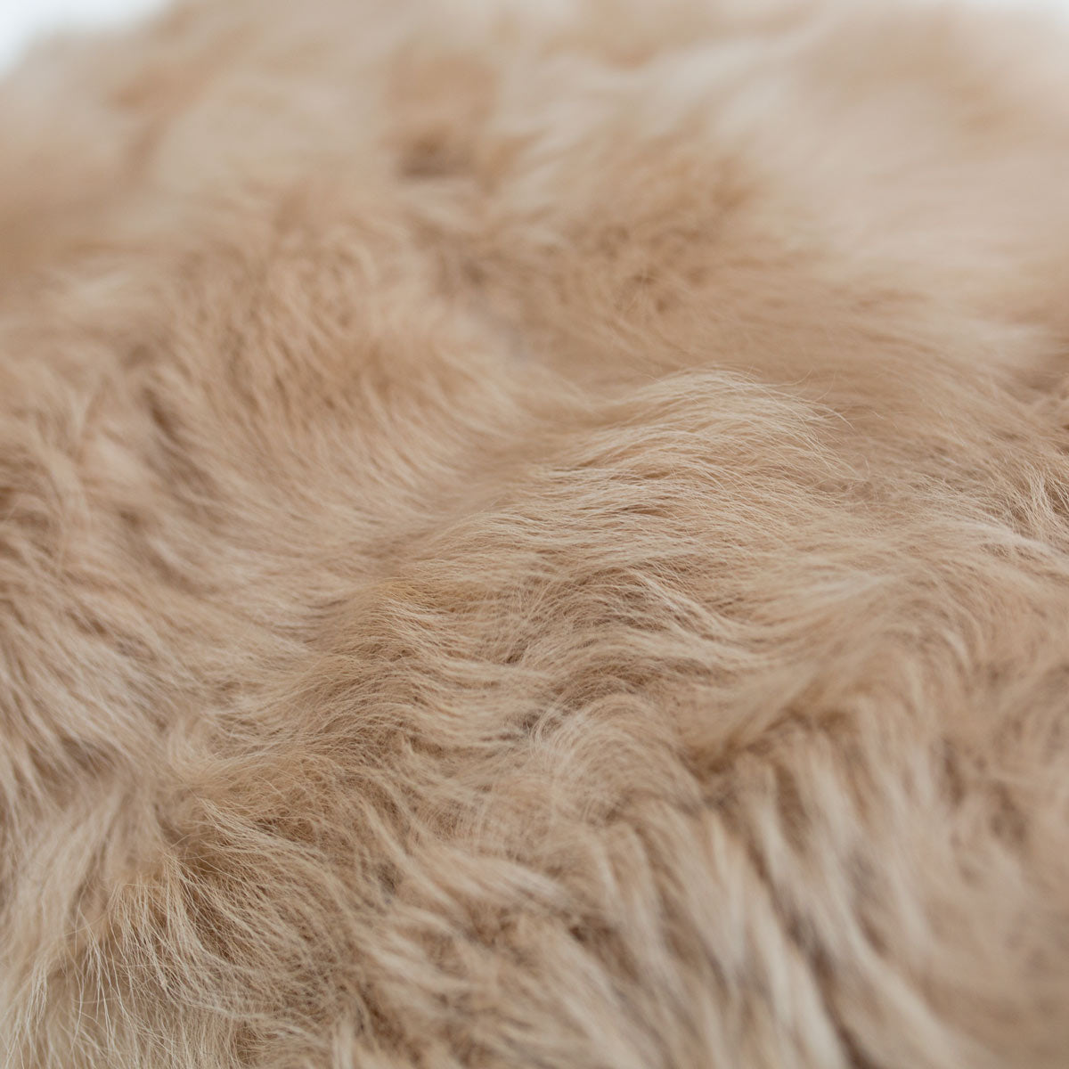 Toscana Fur - Lumbar Pillow