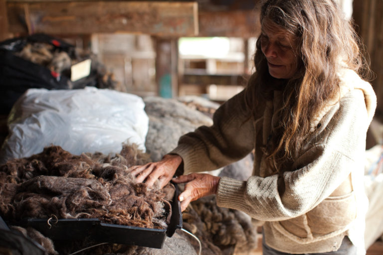 The Women Behind the Wool