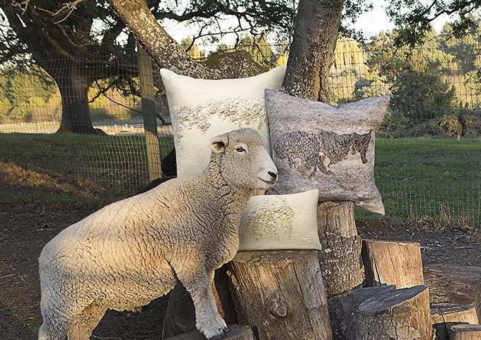 Heritage Sheep Collection from the Livestock Conservancy's HERITAGE SHEEP list