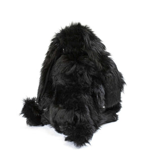 Little JG Rabbit in Black Fur