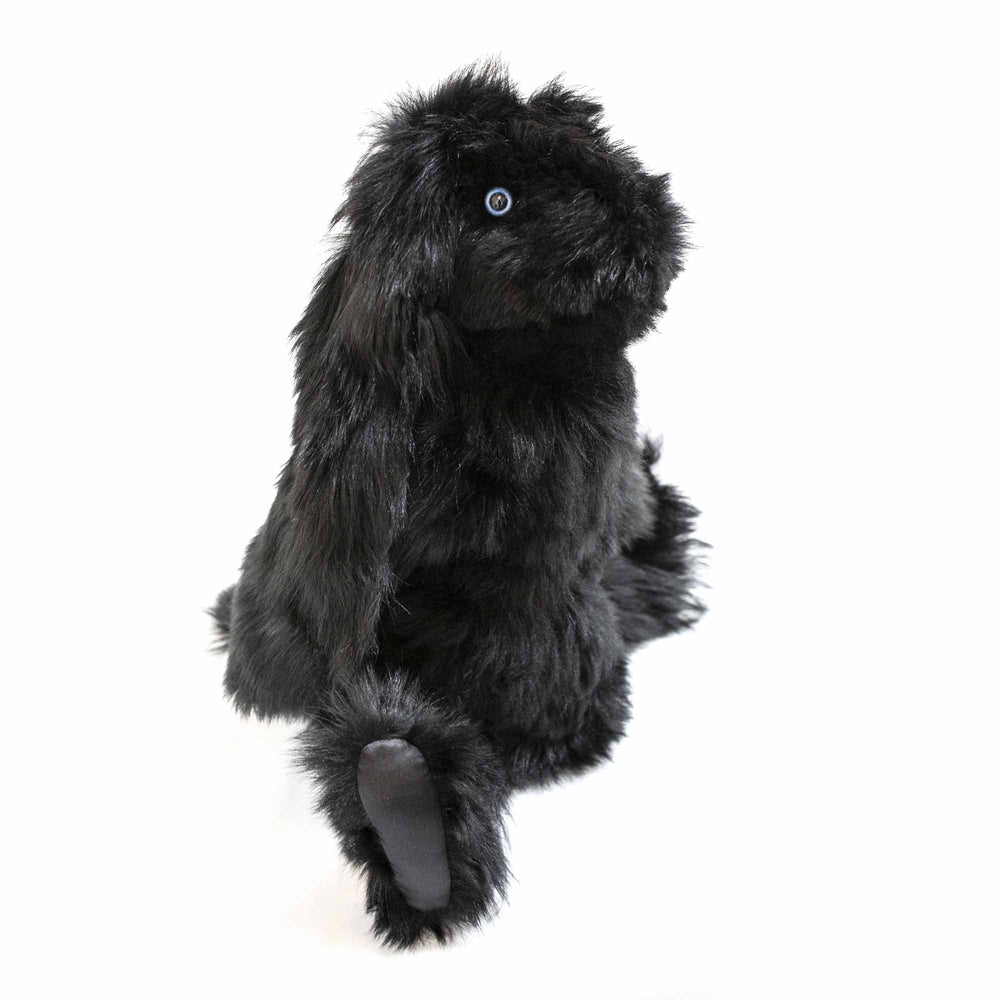 Little JG Rabbit in Black Fur