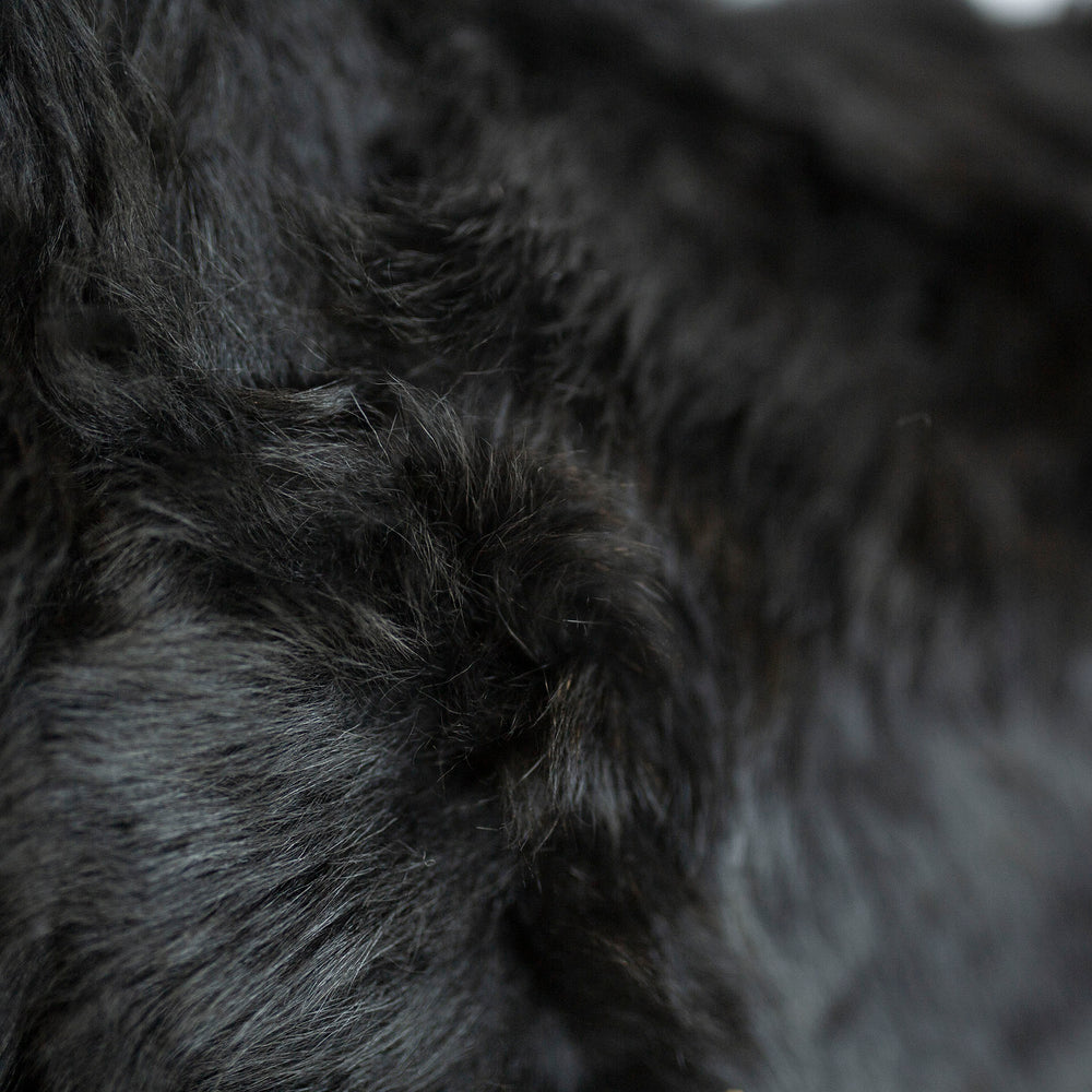 
                      
                        Toscana Fur Blanket - Cashmere Blend Lining - Black
                      
                    