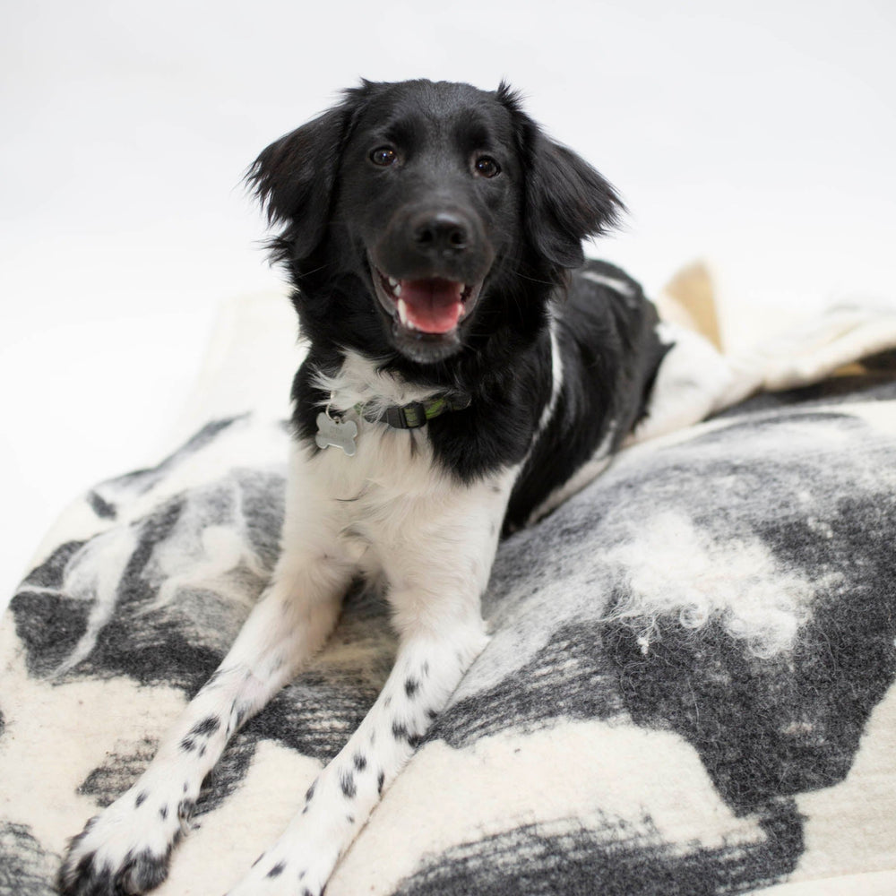
                      
                        Wool Dog Mat - Shetland Cloud
                      
                    