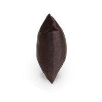 Silk Charmeuse Pillow Slip